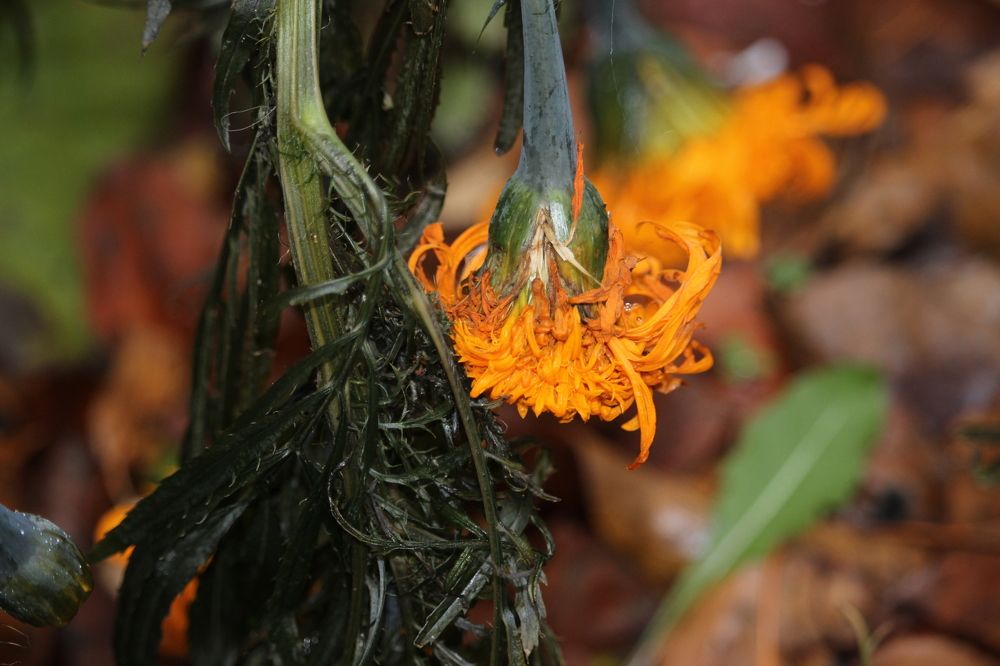 Photograph by Мазур Максим