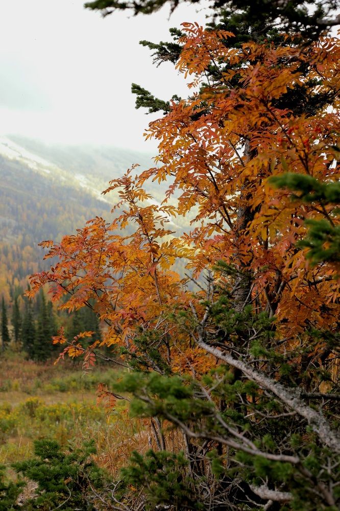 Photograph by Светлана