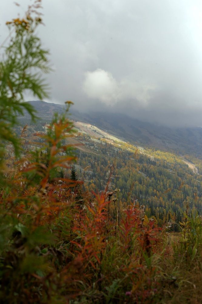 Photograph by Светлана