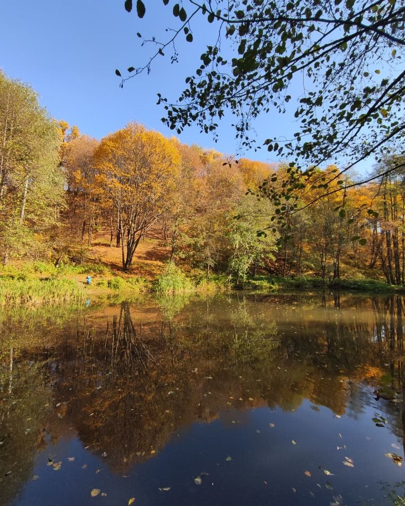 Photograph by Татьяна Штунь