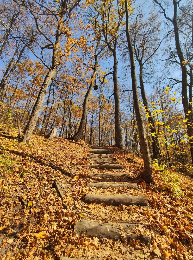 Photograph by Татьяна Штунь