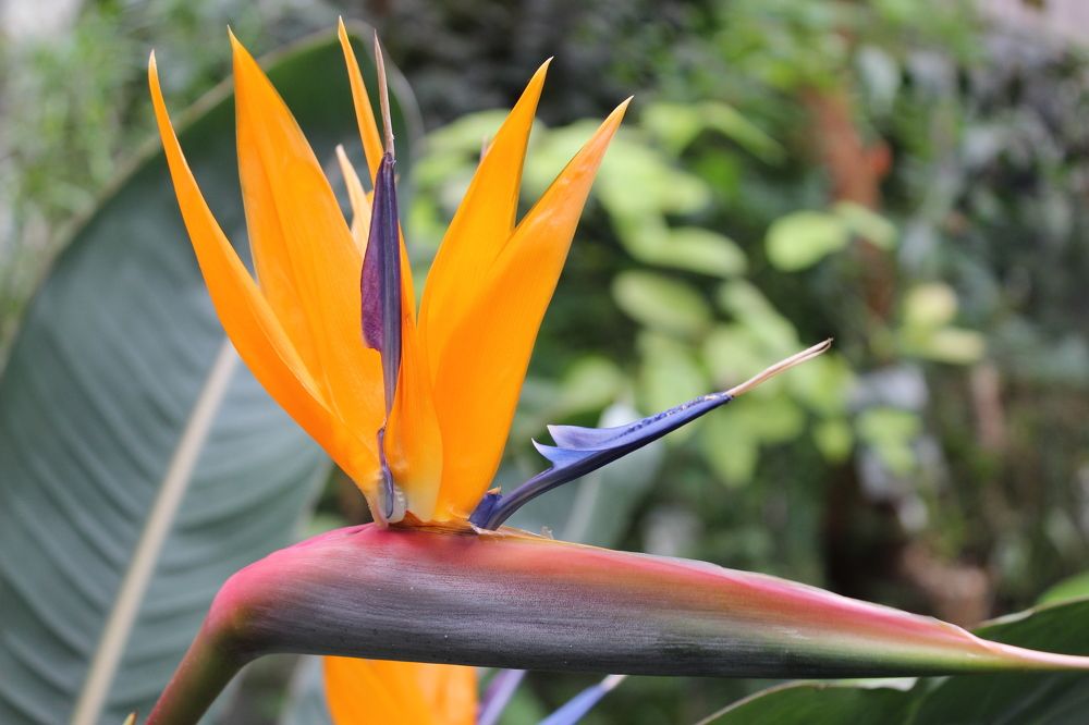 Photograph by Галина Мазур