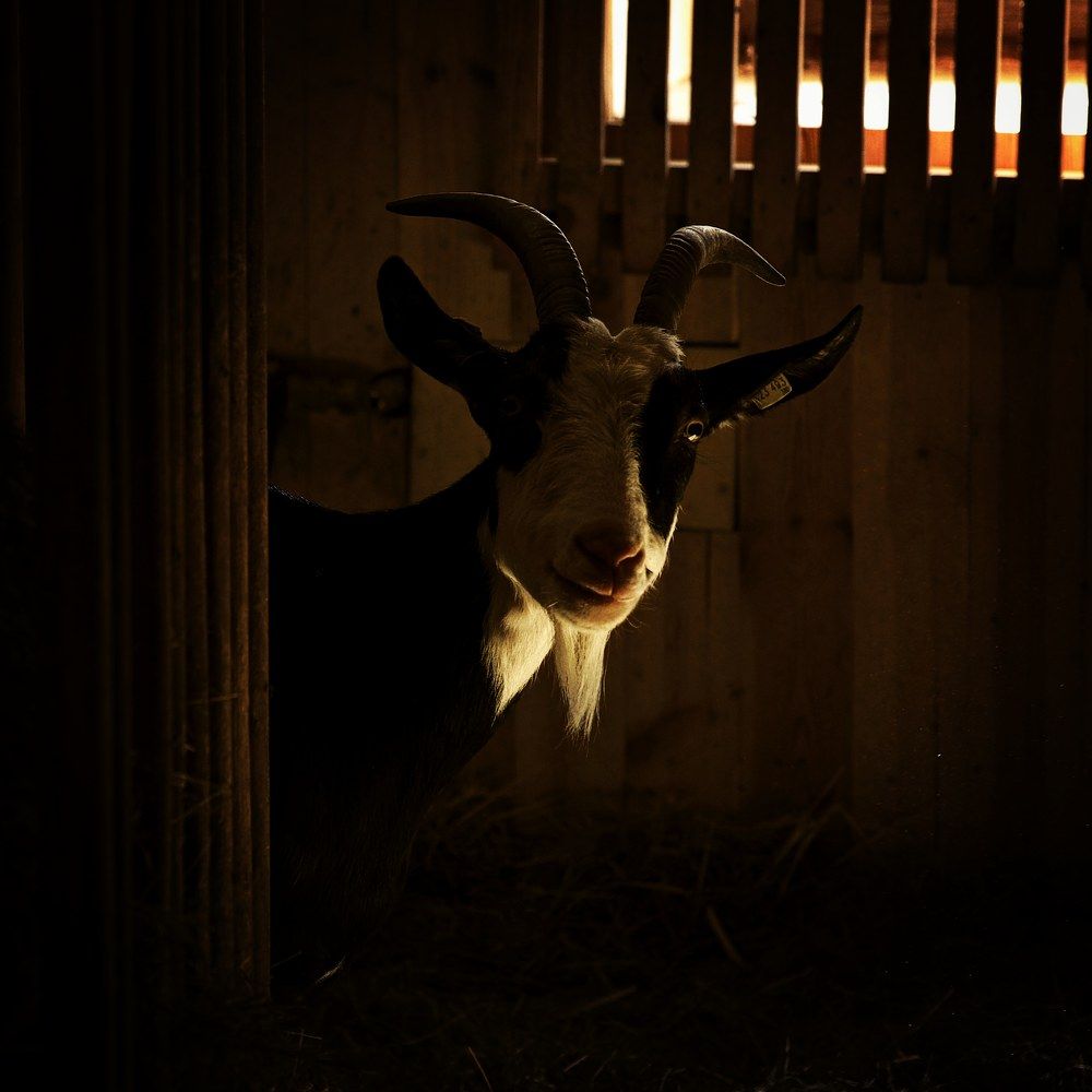 Фотография автора Liudmila Kostina