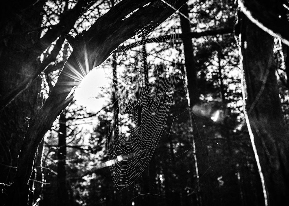 Photograph by Normunds Kaprano