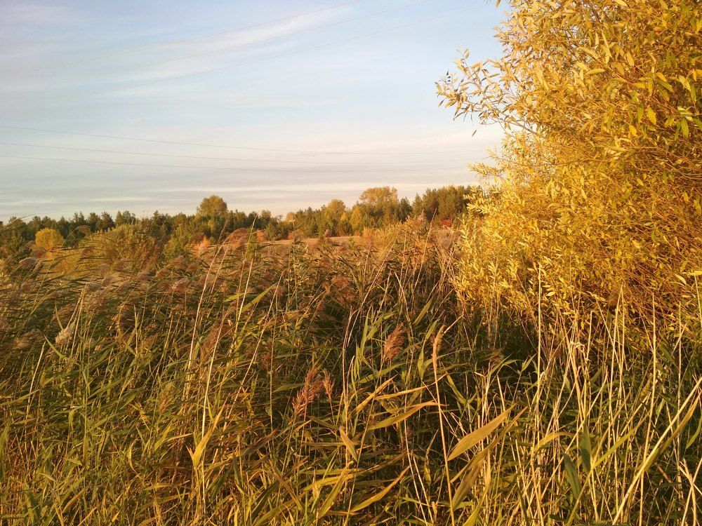 Photograph by Ирина Немкина