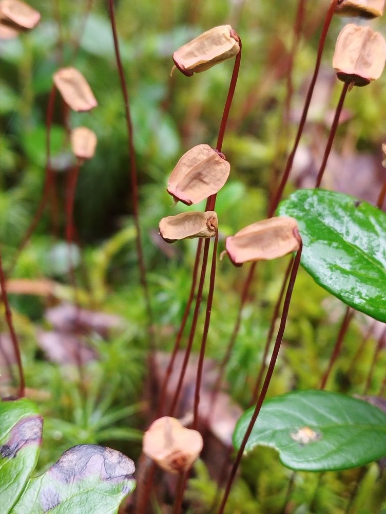 Фотография автора Анастасия Богдан