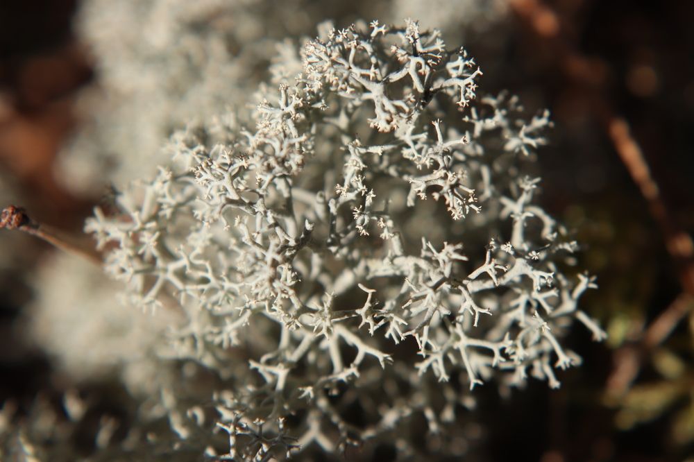 Фотография автора Анастасия Богдан