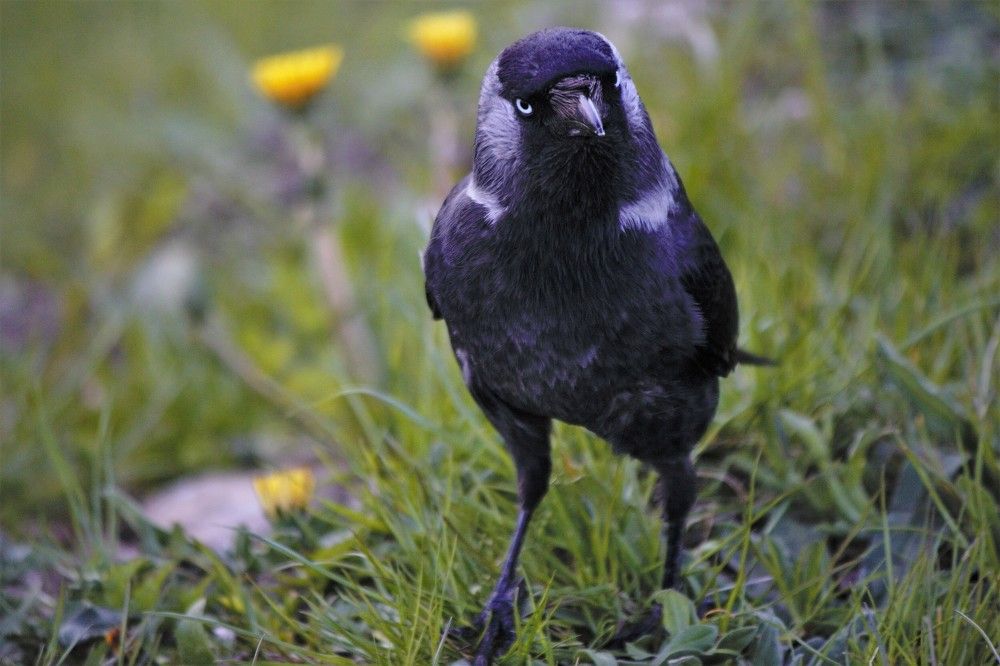 Photograph by Марина Игнатьева