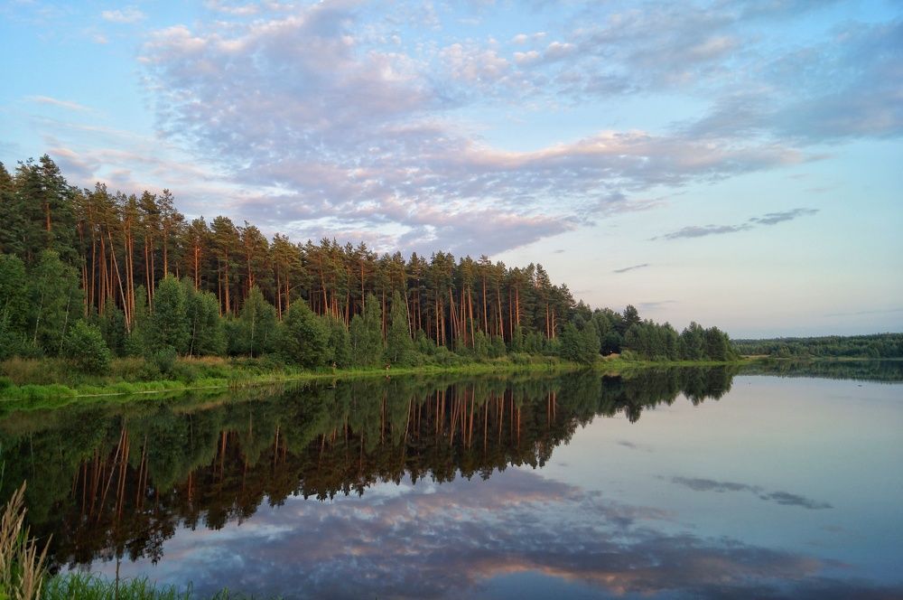 Photograph by Анна