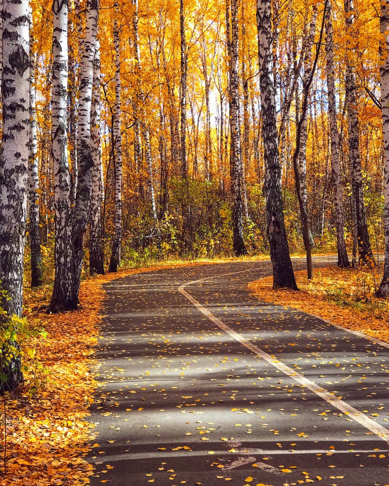 Photograph by Татьяна Волохова