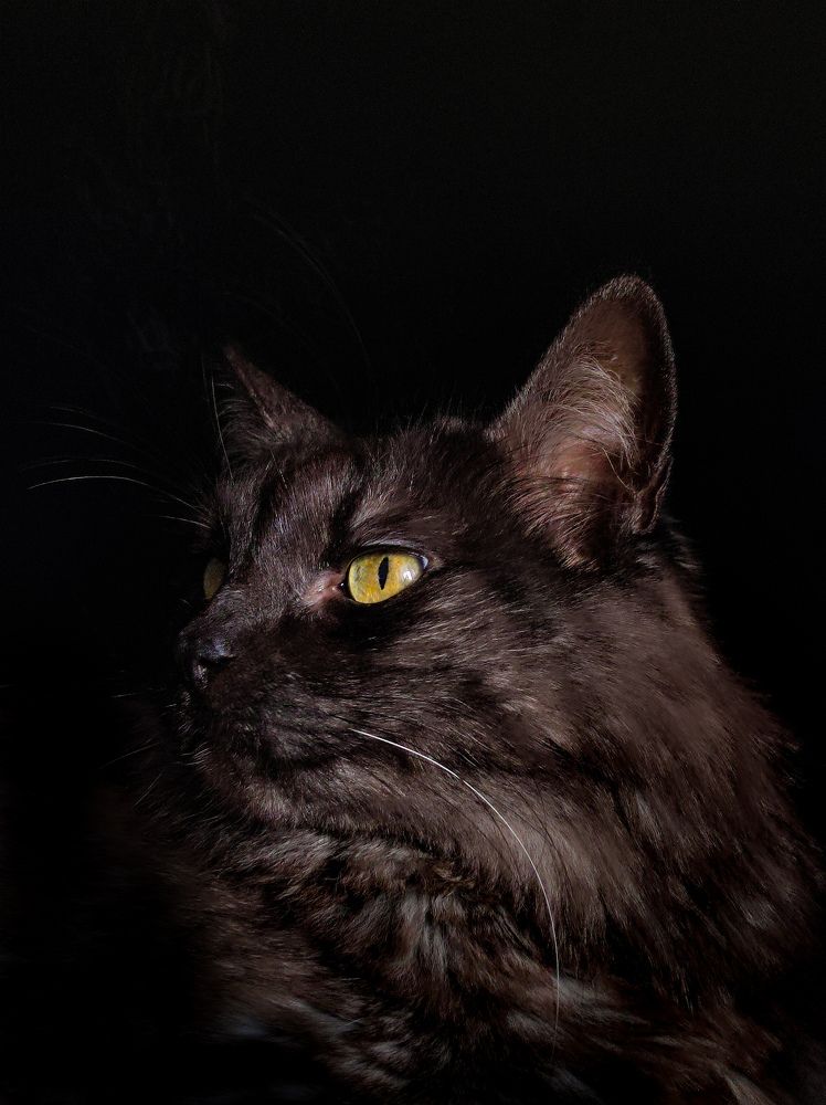 Photograph by Evgenia Korchagova