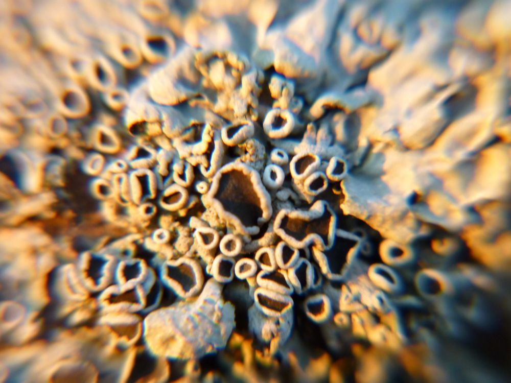 Photograph by Юрий Сычев