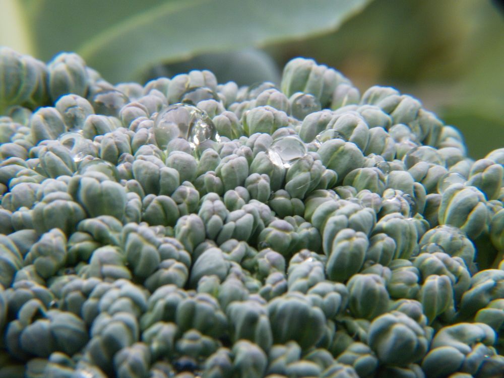 Photograph by Юрий Сычев