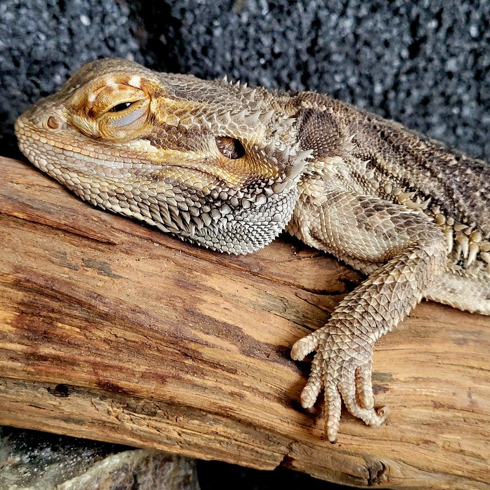 Photograph by Catherine