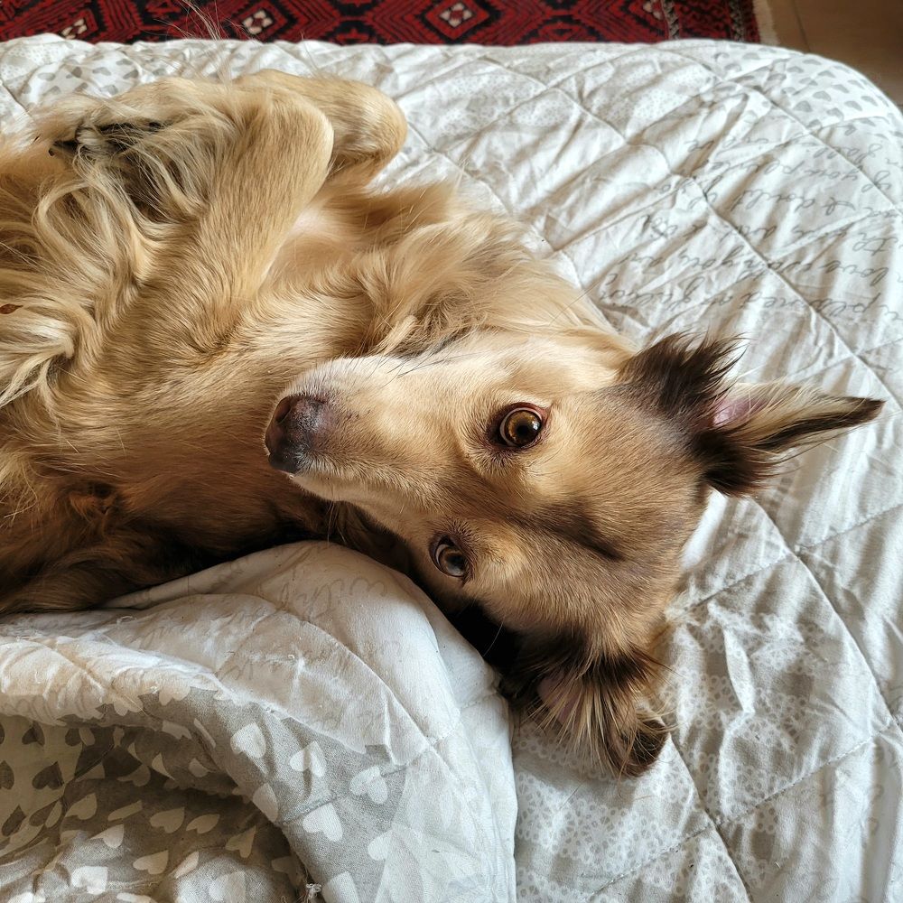 Photograph by Catherine