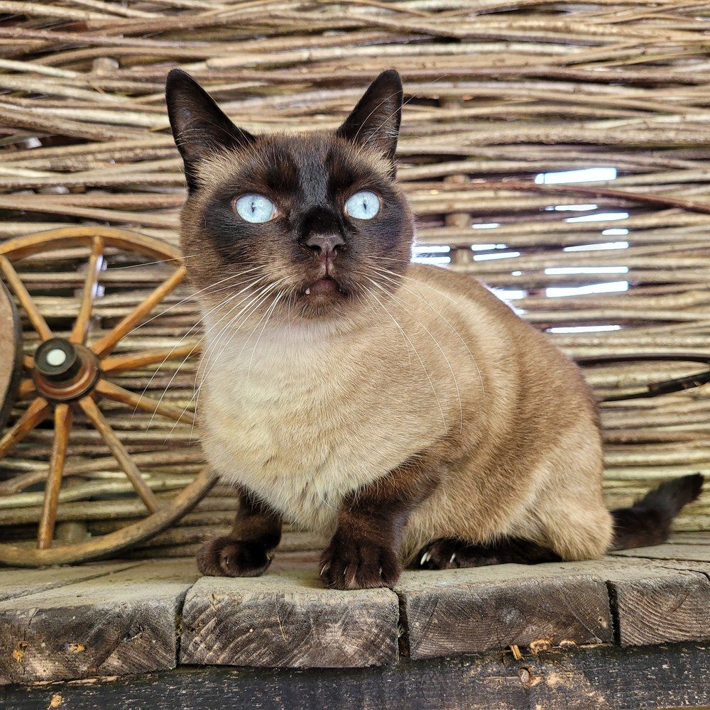 Photograph by Catherine