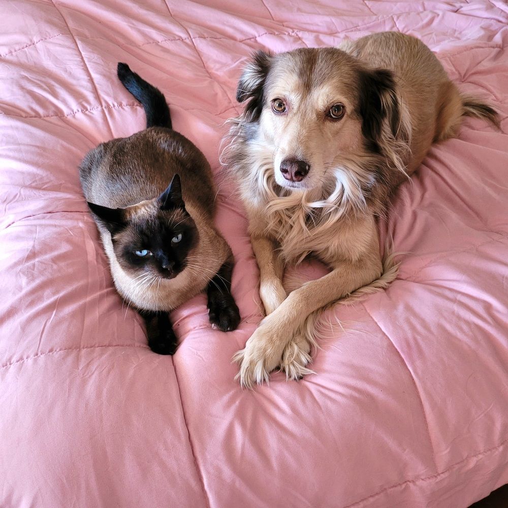 Photograph by Catherine