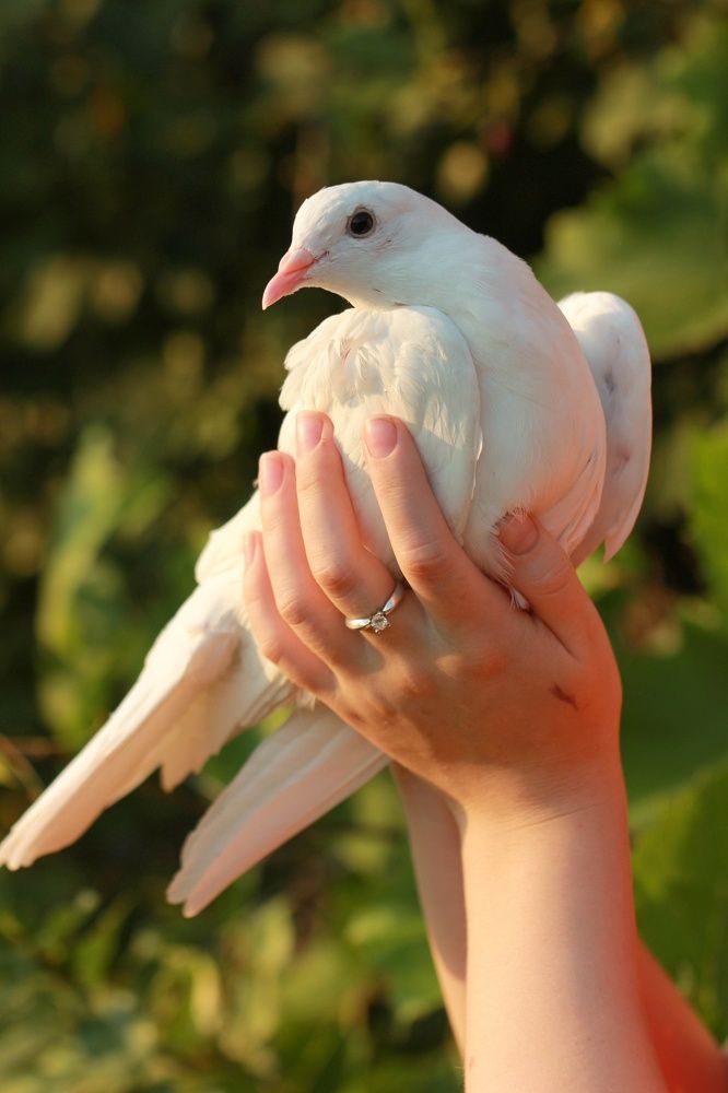 Фотография автора Ираида Гайфуллина