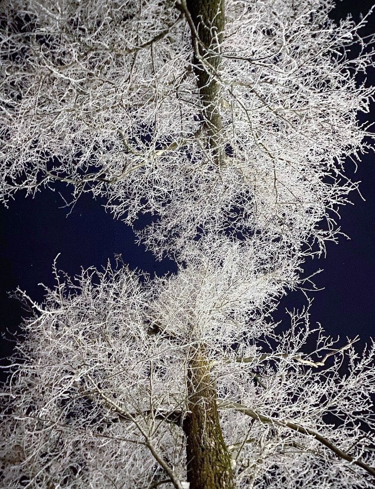 Photograph by Наталья Ситова