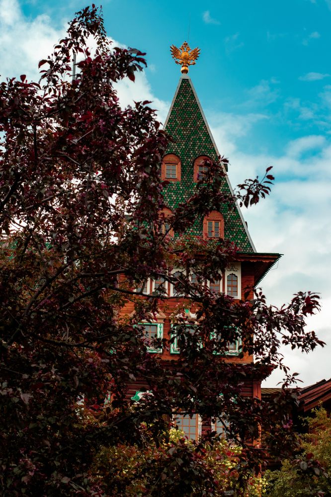 Photograph by Сергей Аникушин