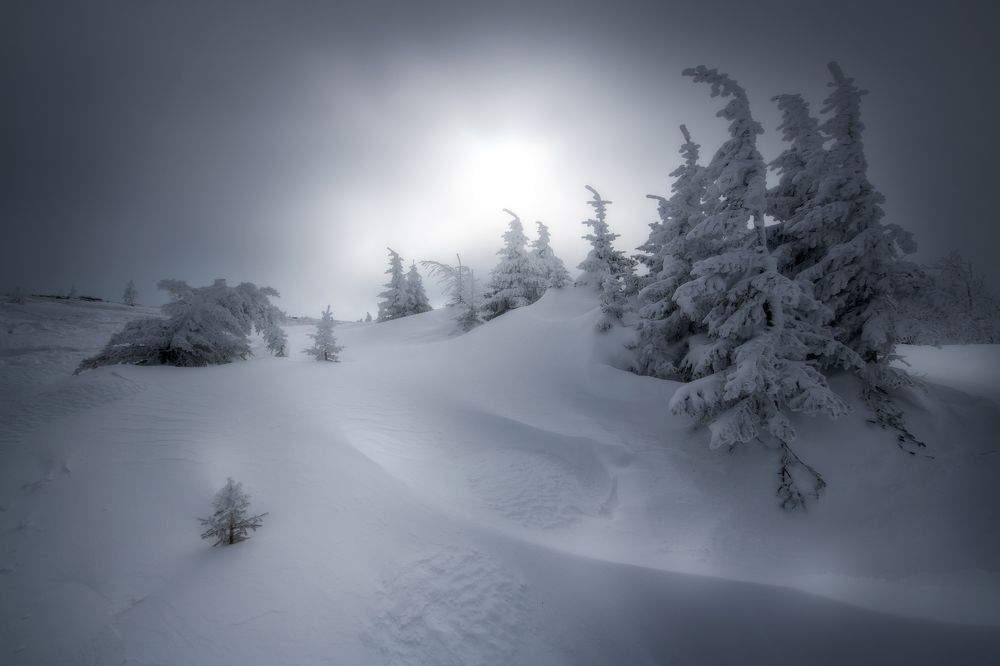 Photograph by Михаил Карпов