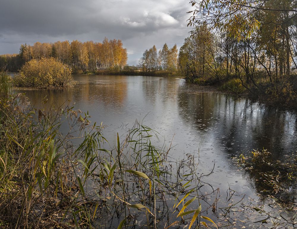 Photograph by Николай Кузьмин