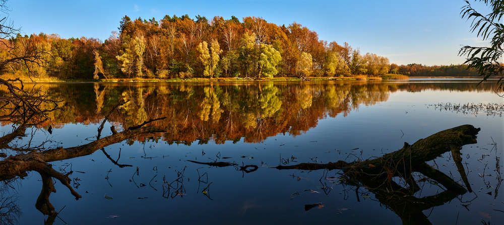 Photograph by Леонид Якутин