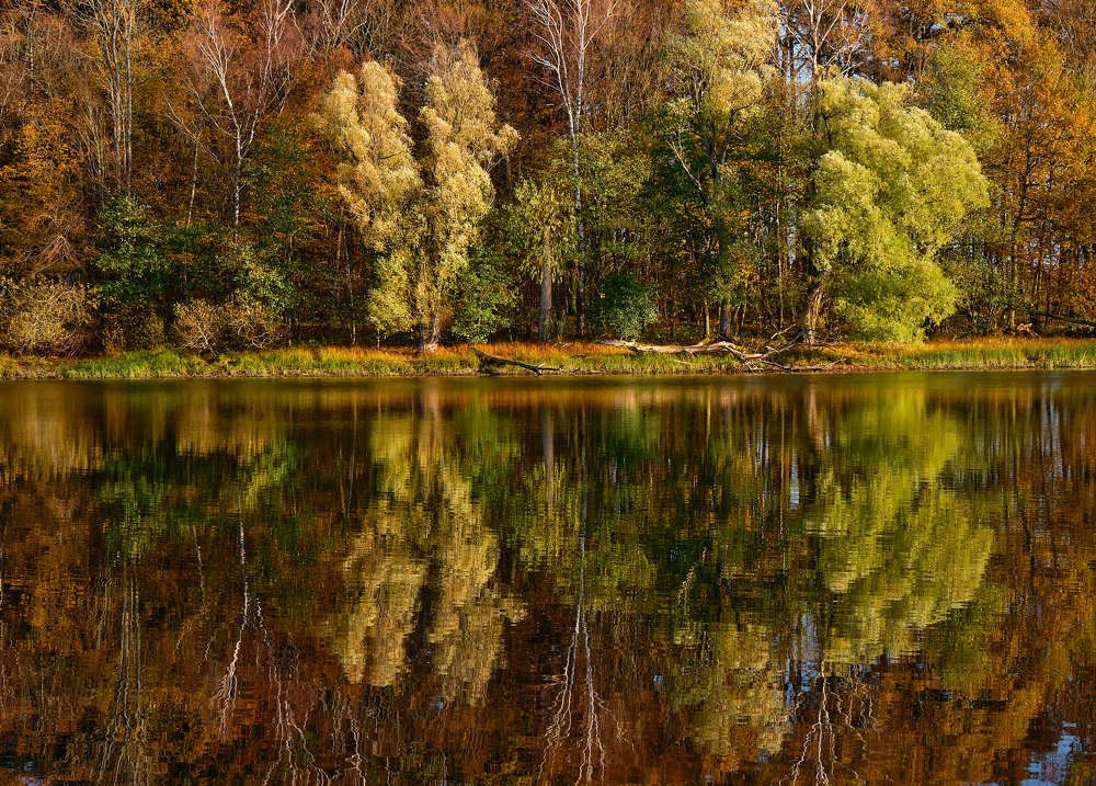 Photograph by Леонид Якутин