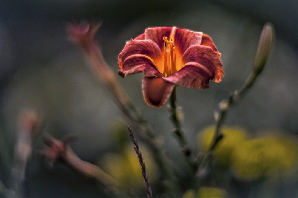 Фотография автора Юрий Кульмяков