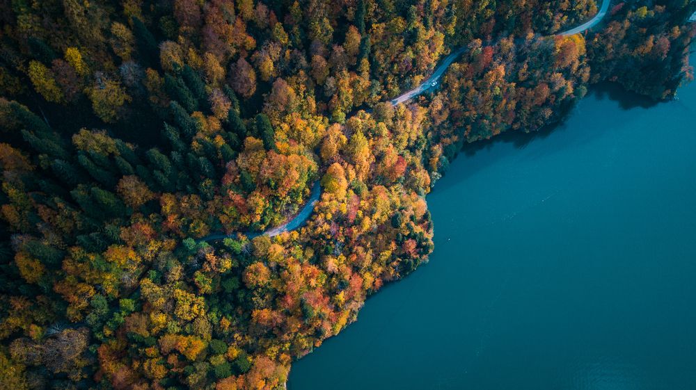Фотография автора Перевозчиков Андрей