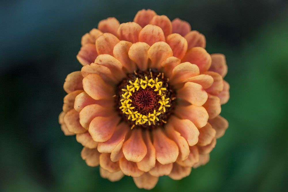 Фотография автора Юрий Кульмяков