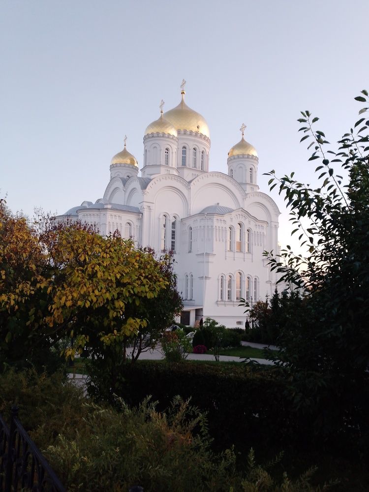 Photo #9591731
