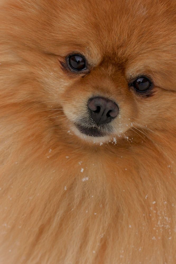 Фотография автора Ираида Гайфуллина