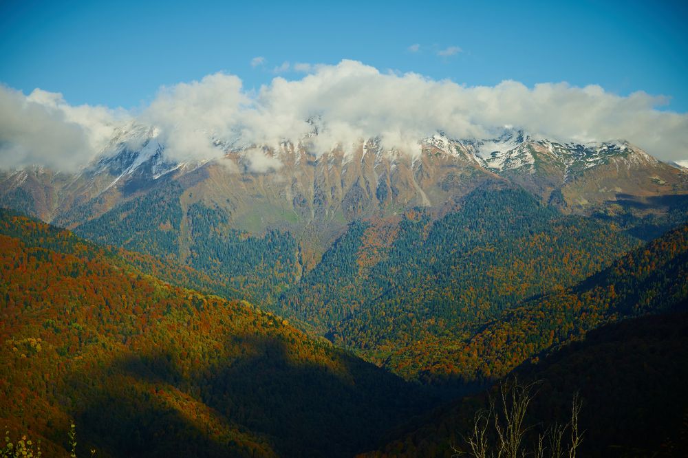 Фотография автора Александр Жданов
