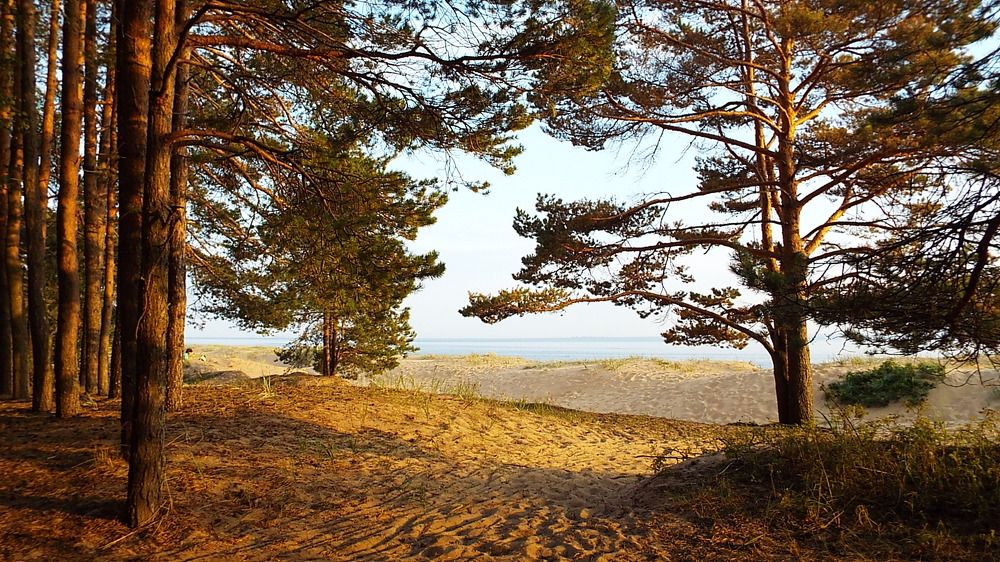 Photograph by Ирина Кузьмина