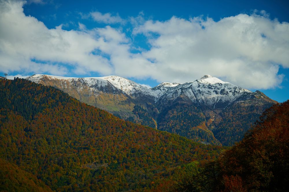 Фотография автора Александр Жданов