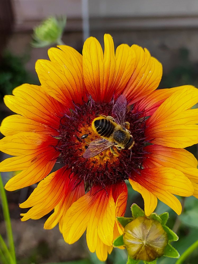 Photograph by Evgenia Korchagova