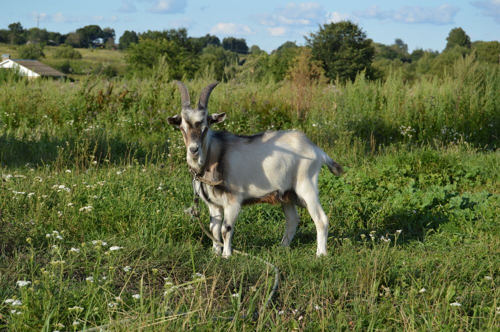 Photograph by Анна