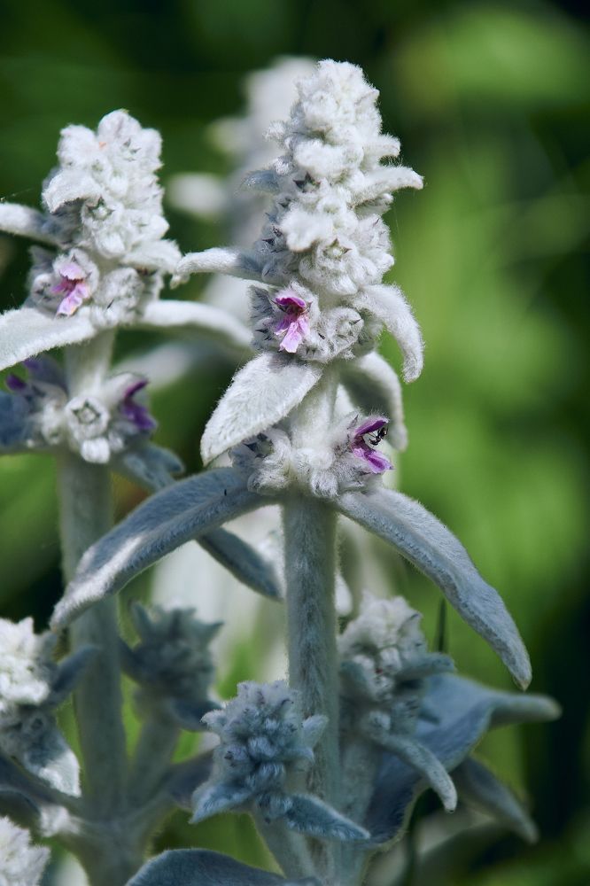Фотография автора Александр Жданов