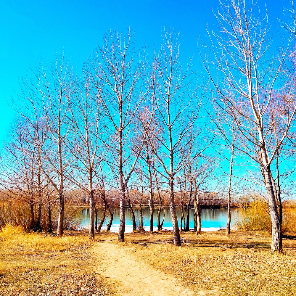 Фотография автора Динара Каймиденова