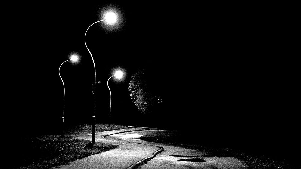 Photograph by Пчелкин Дмитрий