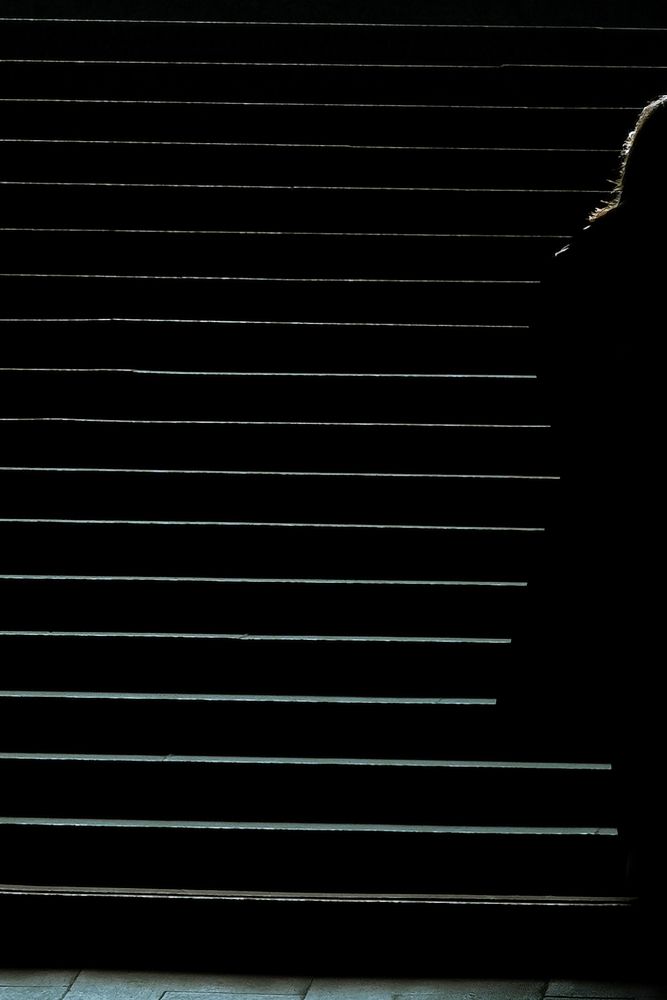 Photograph by Ivan Vetoshkin