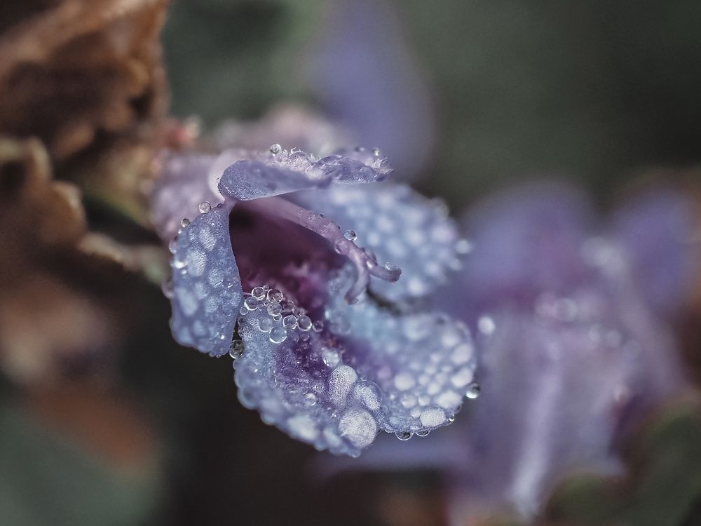 Photograph by Ирина Протченко