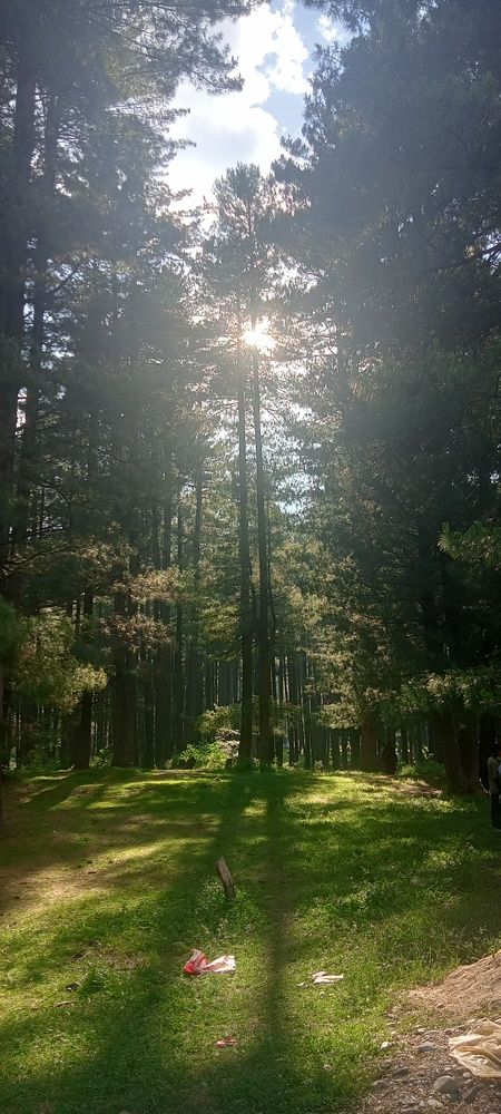 Photo #9591877