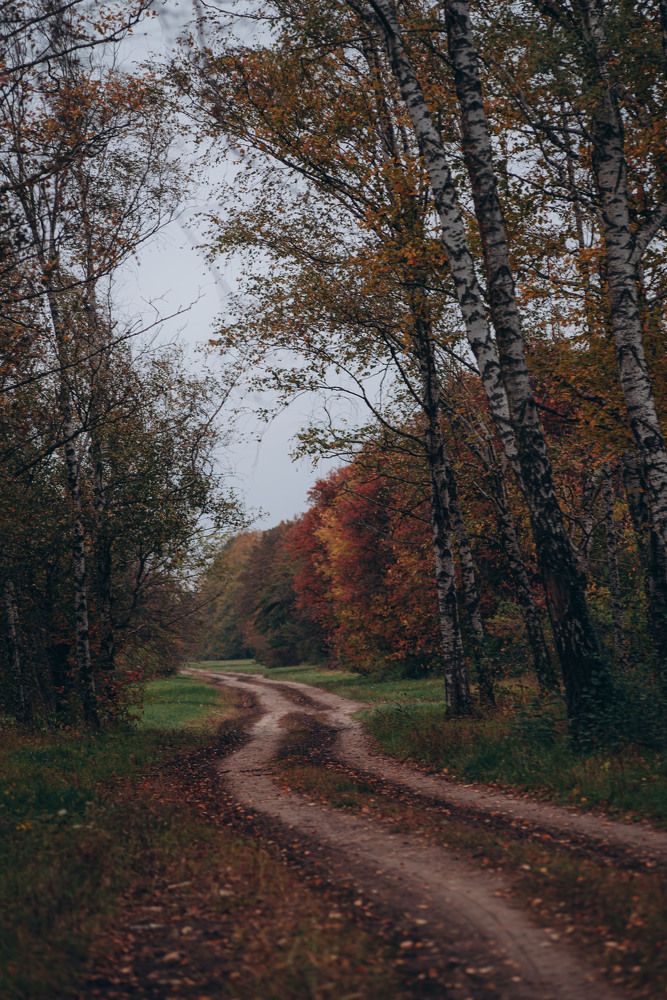 Photograph by Лина Лазарева