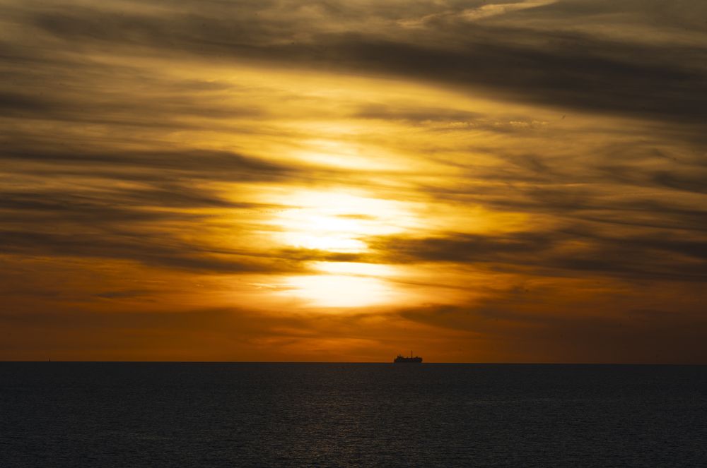 Photograph by Adriana Muñoz