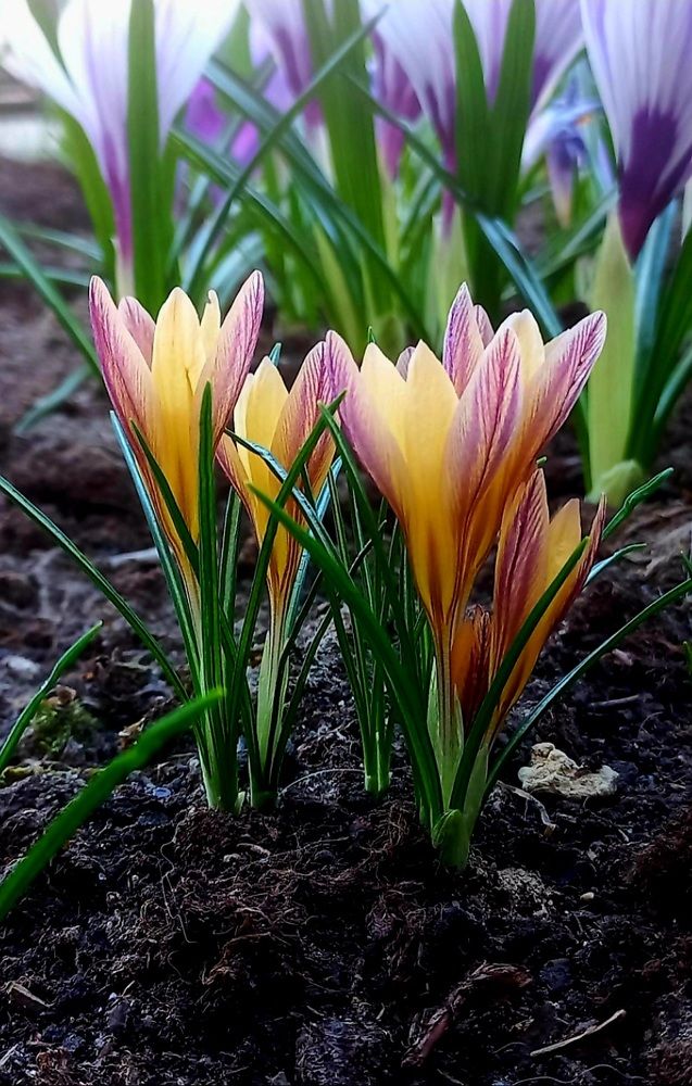 Photograph by Каковкина Ольга