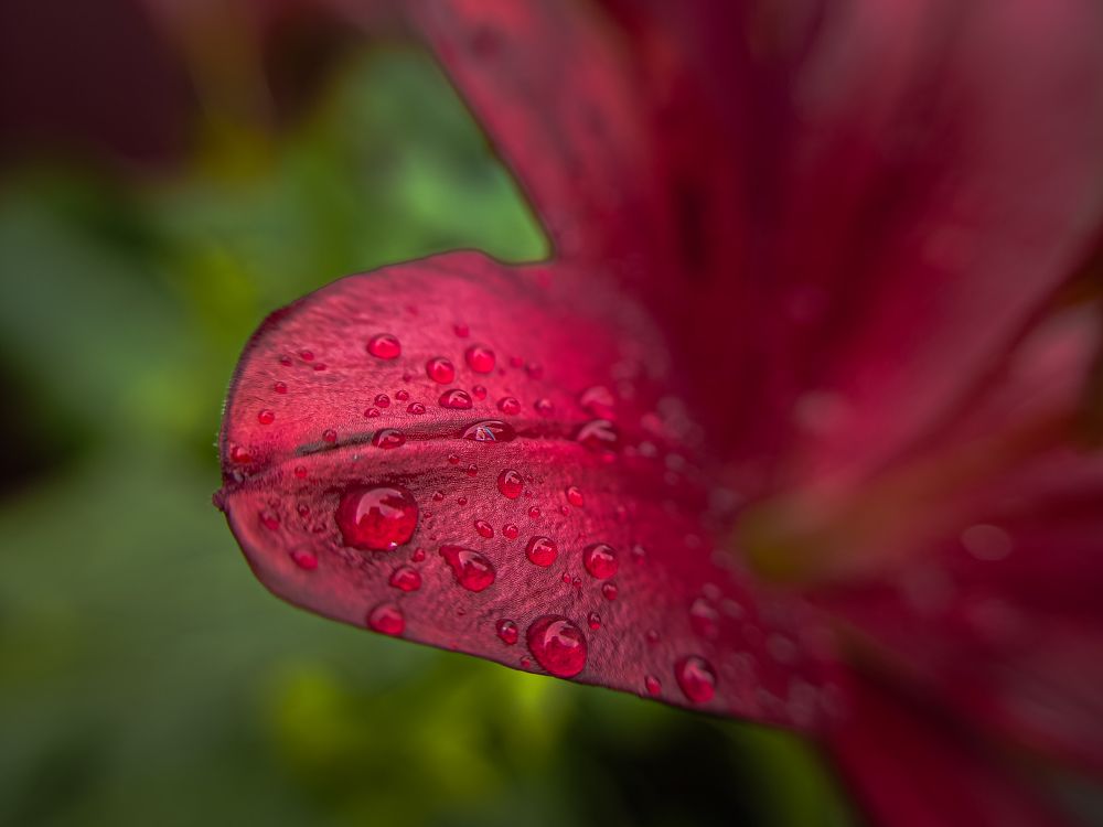 Photograph by Konstantin Martynov