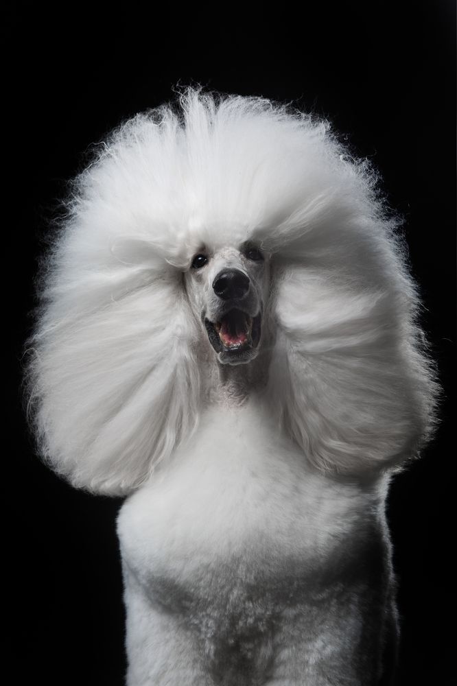 Фотография автора Katerina Mumzhinskaya