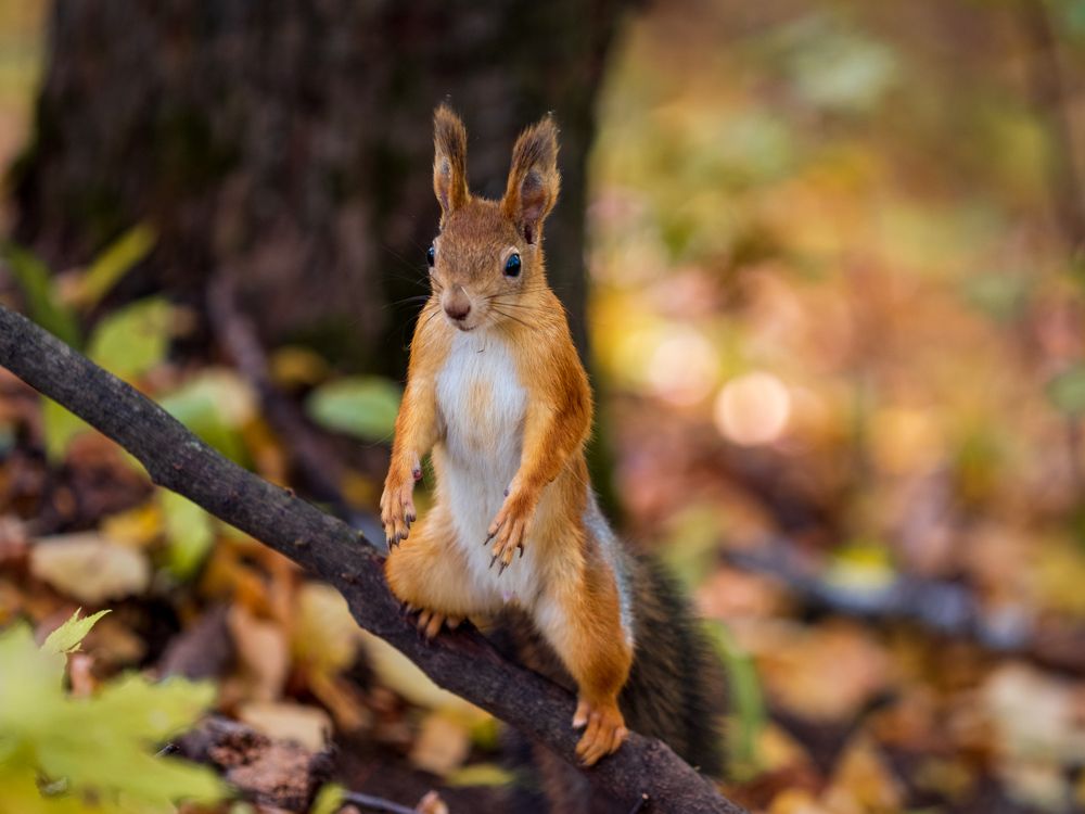 Photograph by Ольга Сергеева